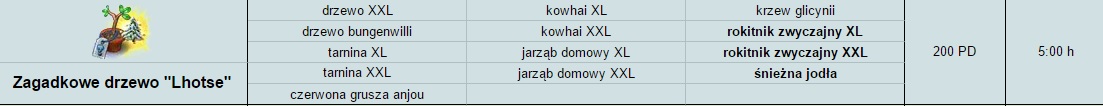 śnieżna jodła.jpg
