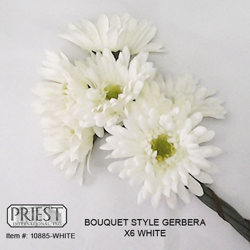 10885-white-510x510.jpg