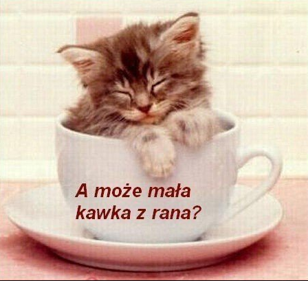 2015-09-07 22_28_17-Miau.PL • Zobacz temat - Myszka z Rodzinką, ulubiony z forum.miau.pl.png