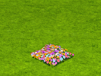 5.gif