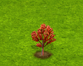 acergriseum_upgrade_0.gif