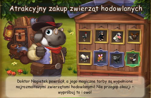 atrakcyjny.png