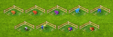 breeding_toad_in_solo.gif