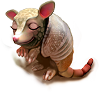 breedingsep2018_armadillo3.png