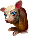 breedingsep2018_armadillo4.png