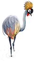 breedingsep2018_crane3.png