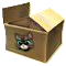 cardbox_kartonowe pudełko.png