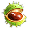 compoundnov2018chestnut_icon_big.png