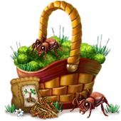 countryjan2019basket1_big.png