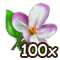 countrylayerjul2018blossom_100.png