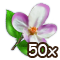 countrylayerjul2018blossom_50.png