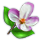 countrylayerjul2018blossom_icon_small[1].png