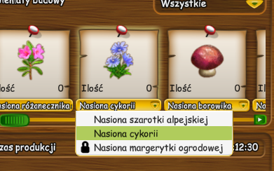cykoria.png