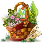 discoverymar2018basket2_big.png