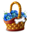 dogtrainingmay2017basket1_medium.png