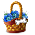 dogtrainingmay2017basket1_small.png