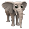 elephant workshop_00_ regular_icon.png