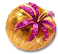fruitdealersjul2016wonderfruit.png