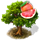 grapefruittree_icon_small.png