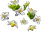 grapefruittree_layer1.png