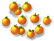 grapefruittree_layer3.png