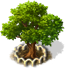 grapefruittree_xl.png