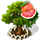 grapefruittree_xl_icon_small.png