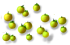 grapefruittree_xxl_layer2.png