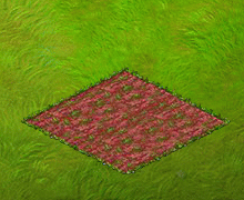 harvestnov2023fountaingrass.gif