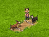 i2.gif