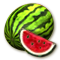 icon_melon.png