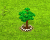 karomiagigas_upgrade_1.gif