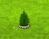 koreanfir_upgrade_1.gif