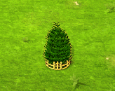 koreanfir_upgrade_2.gif