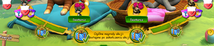 kotki.png