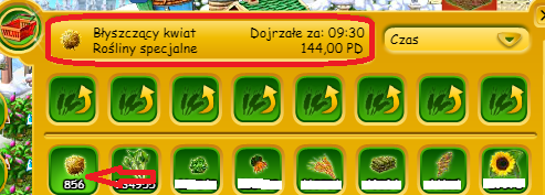 kwiat.png