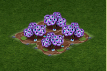 Lotos.png