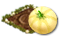 mendel_melon_02_icon_big.png