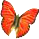 motyl czerwony aksamit.png