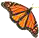 motyl monarcha.png