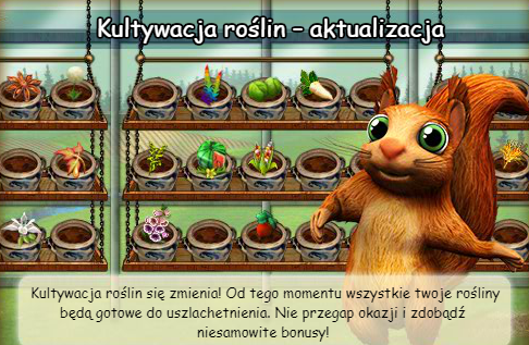 N Kultywacja.png