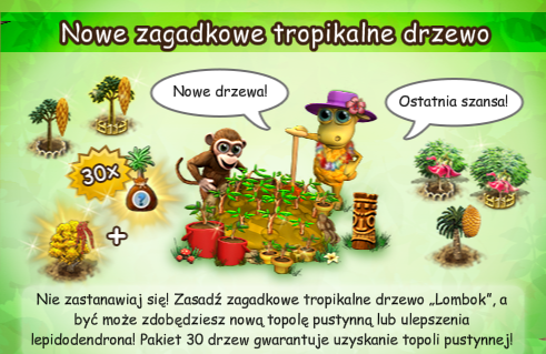 N zag trop drzewo Lombok.png