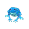 Nakrapiana ropucha.png