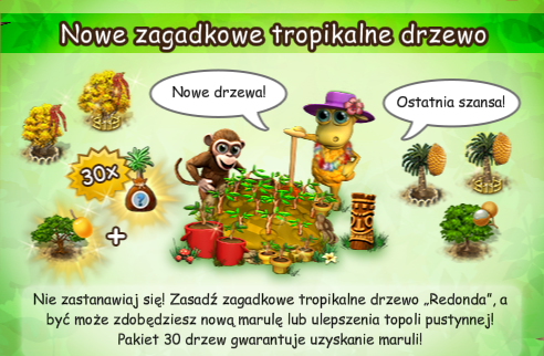 news drzewa wyspa.png