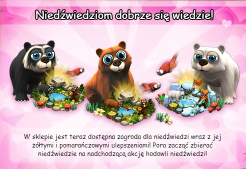 niedźwiedzie.png