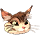 norwaycat.png