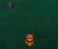 p1.gif