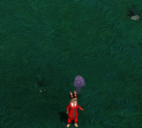 p3.gif