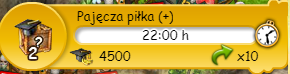 pajęcza piłka.png