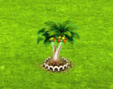 palmatestowa2.gif